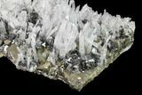 Gorgeous, Pyrite, Sphalerite & Quartz Crystal Association - Peru #141823-2